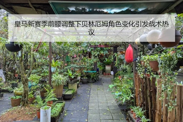 皇马新赛季前腰调整下贝林厄姆角色变化引发战术热议（Kaiyun）